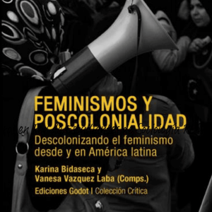 feminismos