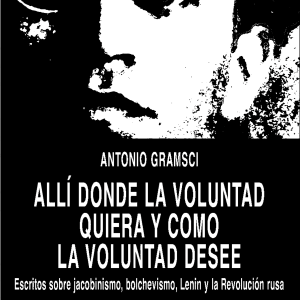 voluntad